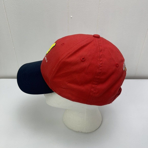 Jeff Gordon Hat Cap Kelloggs Racing #24 Nascar Red Blue Yellow Strapback - Picture 4 of 12